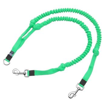 Doppelleine Hunde_Koppel_minze